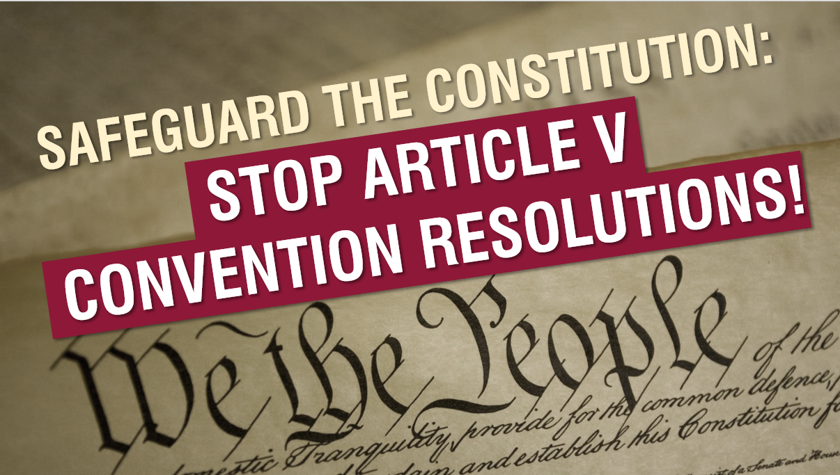 Custom_campaign_image_safeguard-the-constitution_medium1