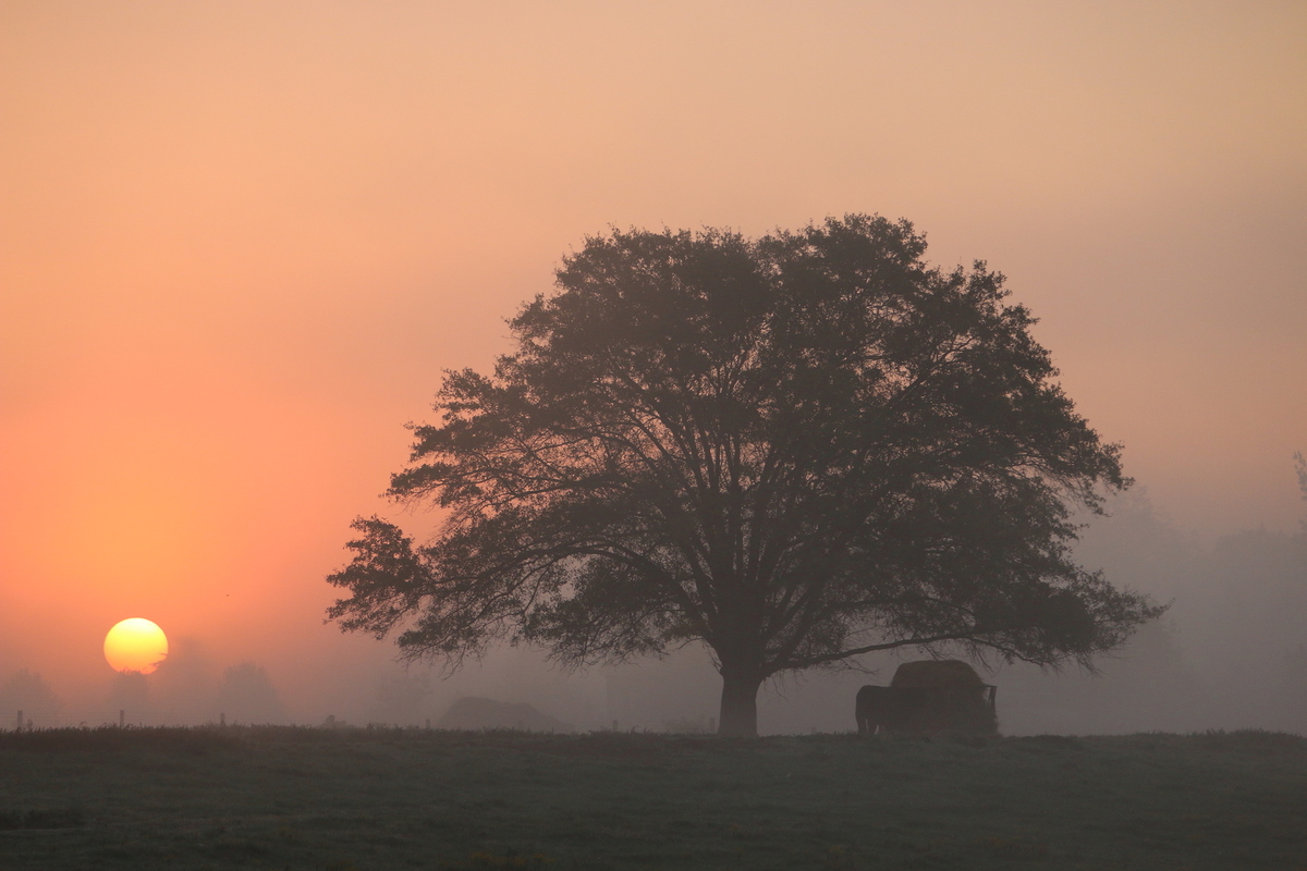 Custom_campaign_image_img_0819_copy