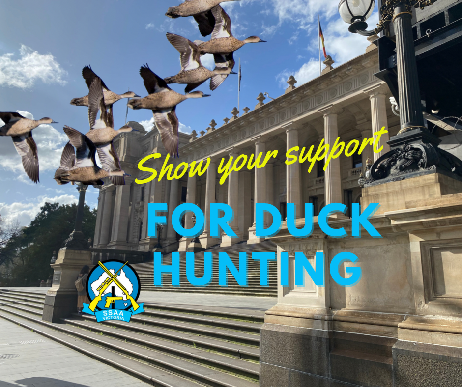 Custom_campaign_image_support_duck_hunting