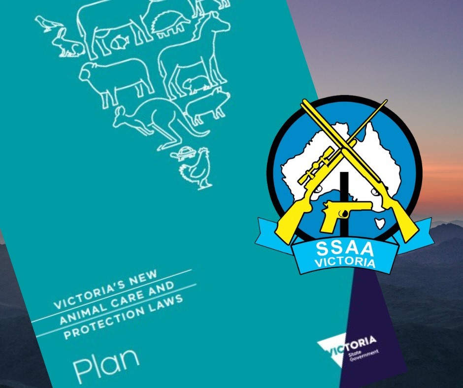 Custom_campaign_image_aw_plan