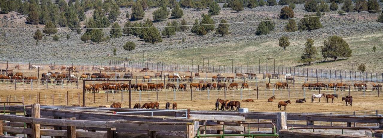 Custom_campaign_image_oregon-whb-corral-hero