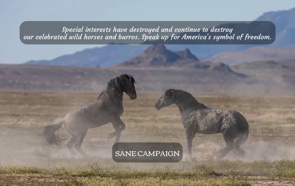 Custom_campaign_image_img_0228