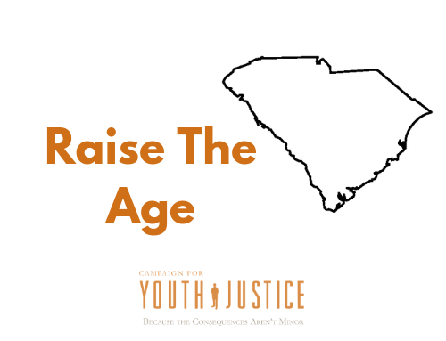 Custom_campaign_image_raise_the_age